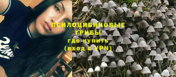молекула духа Абинск