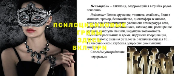 стаф Абдулино