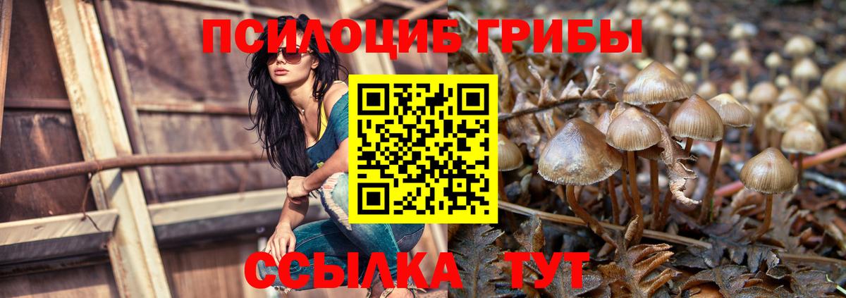 Галлюциногенные грибы GOLDEN TEACHER Алатырь