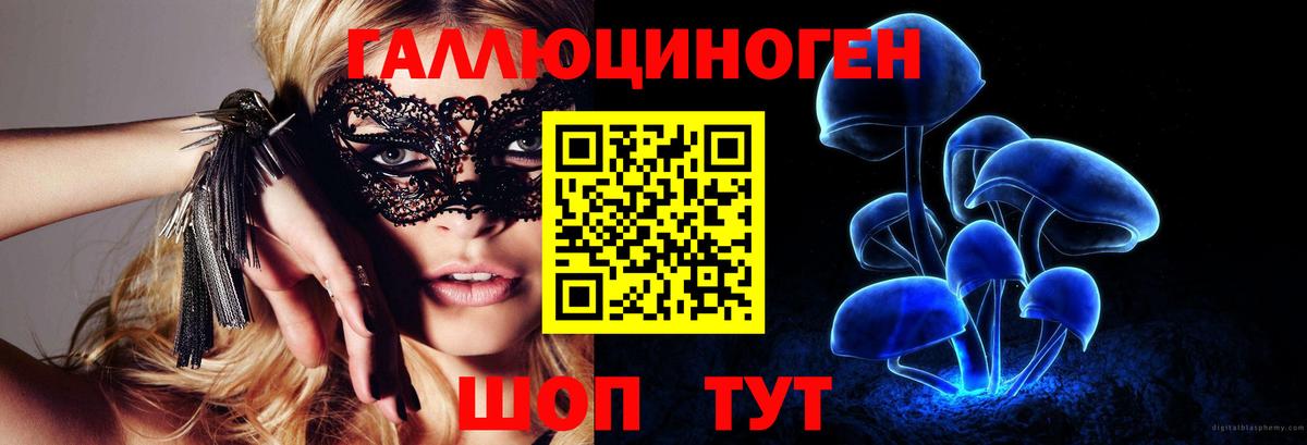 Алатырь  Псилоцибиновые грибы мухоморы  Вход с VPN 